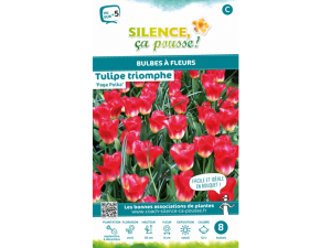 Tulipe triomphe page polka - Calibre 12/+ - X8