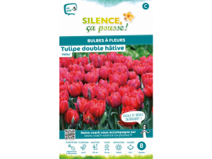 Tulipe double hative abba - Calibre 12/+ - X8