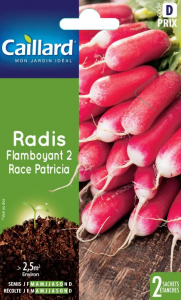 Radis Flamboyant 2 Race Patricia - Graines - Caillard
