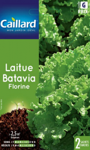 Laitue Batavia Florine - Graines - Caillard