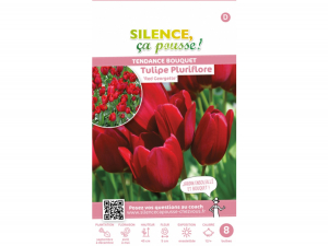Tulipe pluriflore red georgette 12/+ x8