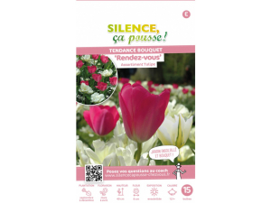 Assortiment tulipe rendez-vous 12/+ x15
