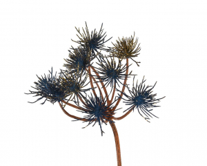 Allium sur tige - 75 cm