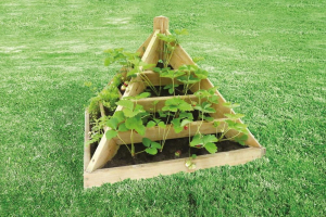 Pyramide à plants en bois - 80 X 80 X 76 cm
