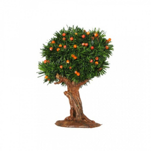 Oranger 14 cm. - Oliver