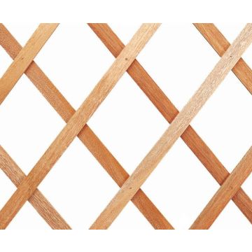 Treillage Extensible - Trelliwood bois - 100 x 200 cm