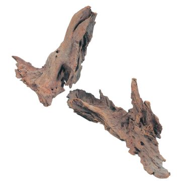 Racine de mangrove - Taille M - 25/40 cm