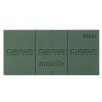 Briques de mousse florale - Oasis Ideal - vert - 23x11x8 cm - x20