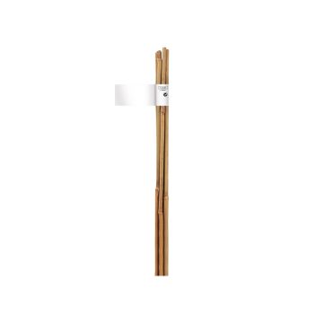 tuteur bambou naturel x3 - Notrene - 120 cm