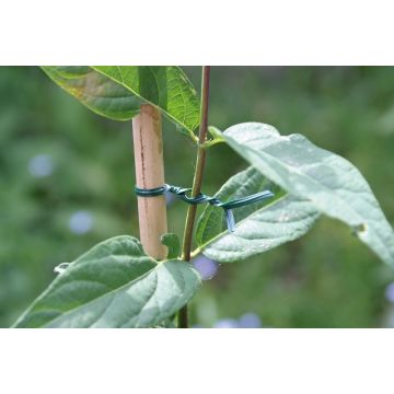 Lien plastique armé vert - Nortene - 100 m