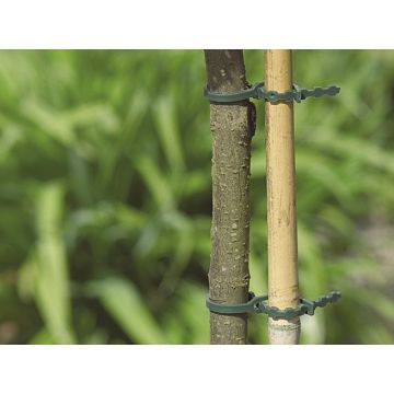 Lien en plastique x20 - Nortene - 35 cm