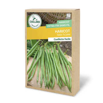 Haricot nain extra-fin sans fil tilsam -  Caillard - 200 g