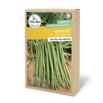 Haricot nain organdi extra-fin sans fil - Caillard - 200 g