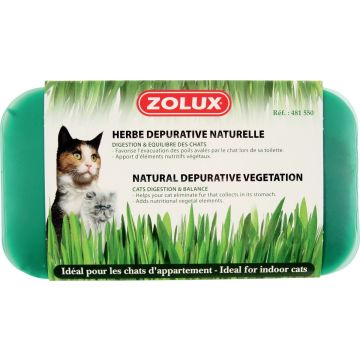 Herbe à chat dépurative naturelle - Zolux