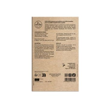 Haricot nain mangetout beurre carson - Caillard - 200 g