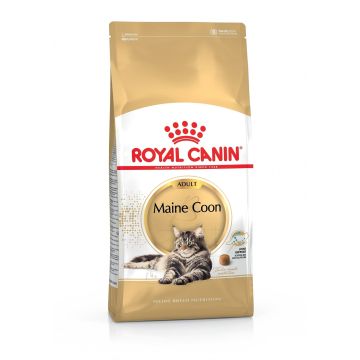 Croquettes pour chat - Royal Canin - Maine Coon Adulte - 4 kg