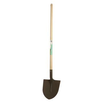 PELLE COL DE CYGNE 29 CM - MAGASIN VERT