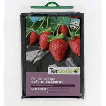 Film de paillage fraisiers - Teragile - 1,40 x 10 m