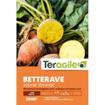 Betterave jaune vauriac - Teragile -  500 g