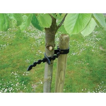 Collier arbre Selfix - Nortene - 60x3 cm
