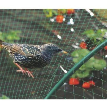 Filet de protection oiseaux - Téragile - 8 x 10 m