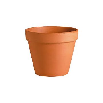Pot rond horticole - Deroma - Terre cuite - 31 cm
