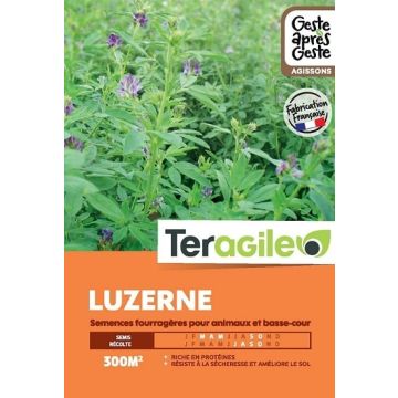 Luzerne 1kg - Teragile