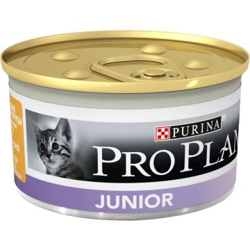 Pâté individuelle pour chaton Junior - Proplan - poulet - 85 gr