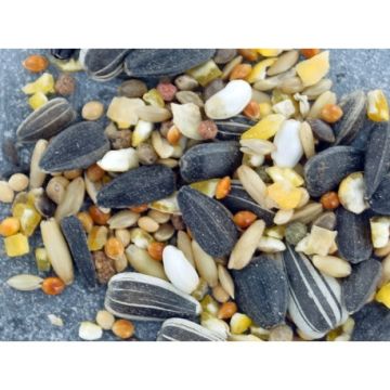 Mélange Supérieur pour oiseaux - Natures Market - sac 1,8 kg