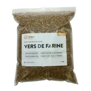 Vers de farine déshydratés- Invers- 1Kg