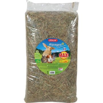 Foin Alpages Premium - Zolux - pour rongeurs, 2.5 kg
