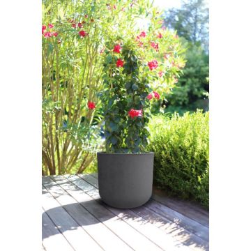 Pot Basalt Up Ø40 cm - 32,5 L - EDA - Anthracite