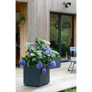 Pot carré Basalt - 50 cm - 57 L - EDA -Anthracite