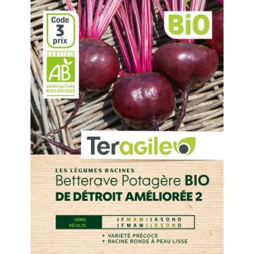 Betterave de détroit améliorée 2 bio - Graines - Teragile