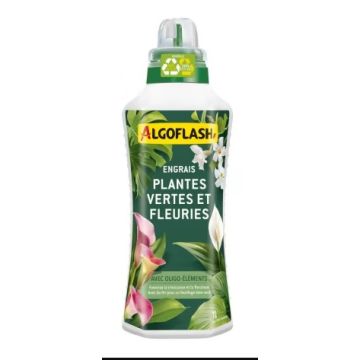 Engrais Plantes Vertes et Plantes Fleuries - Algoflash - 1 L