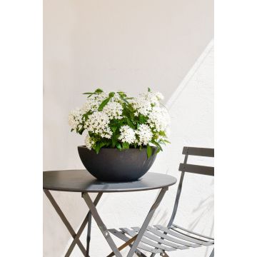 Vasque Basalt Up Ø30 cm - EDA - Anthracite 