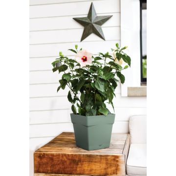 Pot carré Toscane et soucoupe - C24,8X24 - EDA - 10,2 L - Vert Laurier