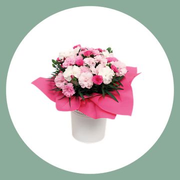 Oeillet - I love you - Coupe de 23 cm