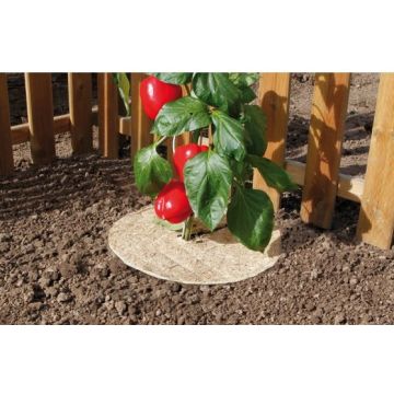 Lot de 2 disques de paillage naturel Chanvrelin Nortene Ø 40 CM