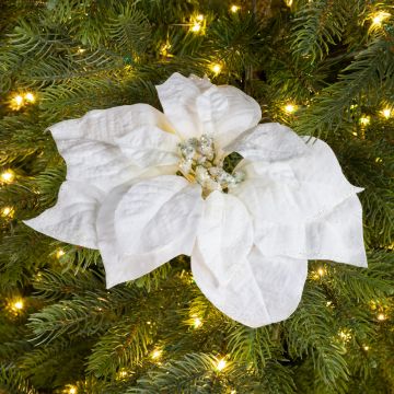 Poinsettia sur clip - Blanc - 24 cm