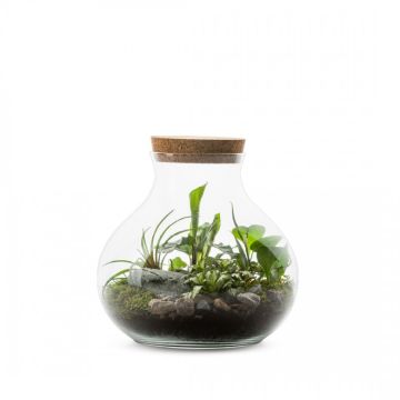 Terrarium Danang M - Ø26 cm