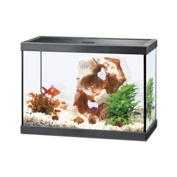 Aquarium Ciano 15