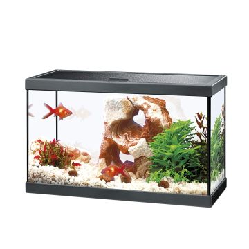 Aquarium Ciano 20