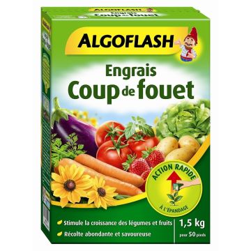 Engrais coup de fouet - Algoflash - Boîte 1