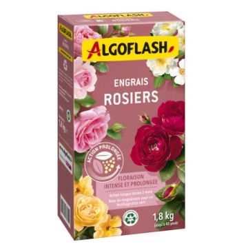 Engrais rosiers - Algoflash - Boîte 1