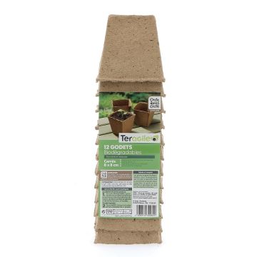 Godets carrés biodégradables - Teragile - Ø 8 - Lot de 12 pots