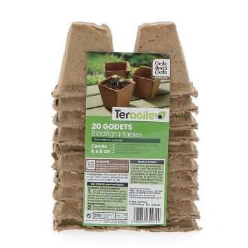 Godets carrés biodégradables - Teragile - Ø 6 - Lot de 20 pots