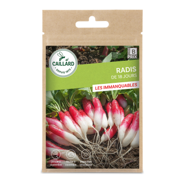 Radis de 18 jours - Caillard