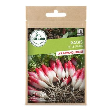 Radis de 18 jours - Caillard