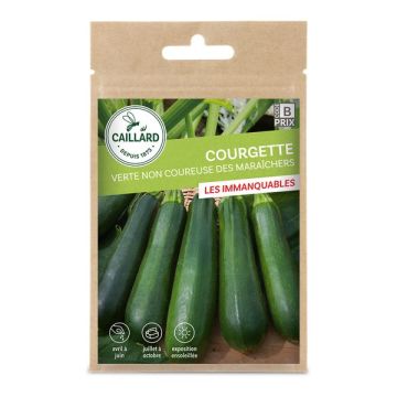 Courgette verte non coureuse des maraîch ers - Caillard
